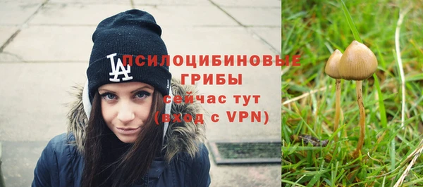 дурь Карталы