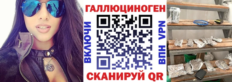Купить закладки  Камешково  Псилоцибиновые грибы Psilocybine cubensis 