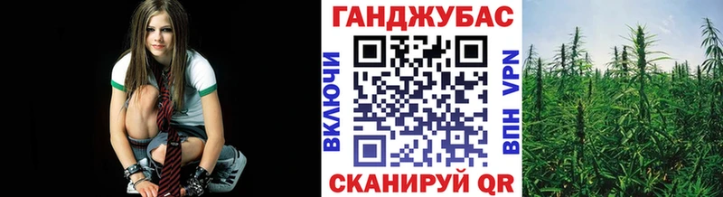 Шишки марихуана Bruce Banner  Купить закладки  Камешково 